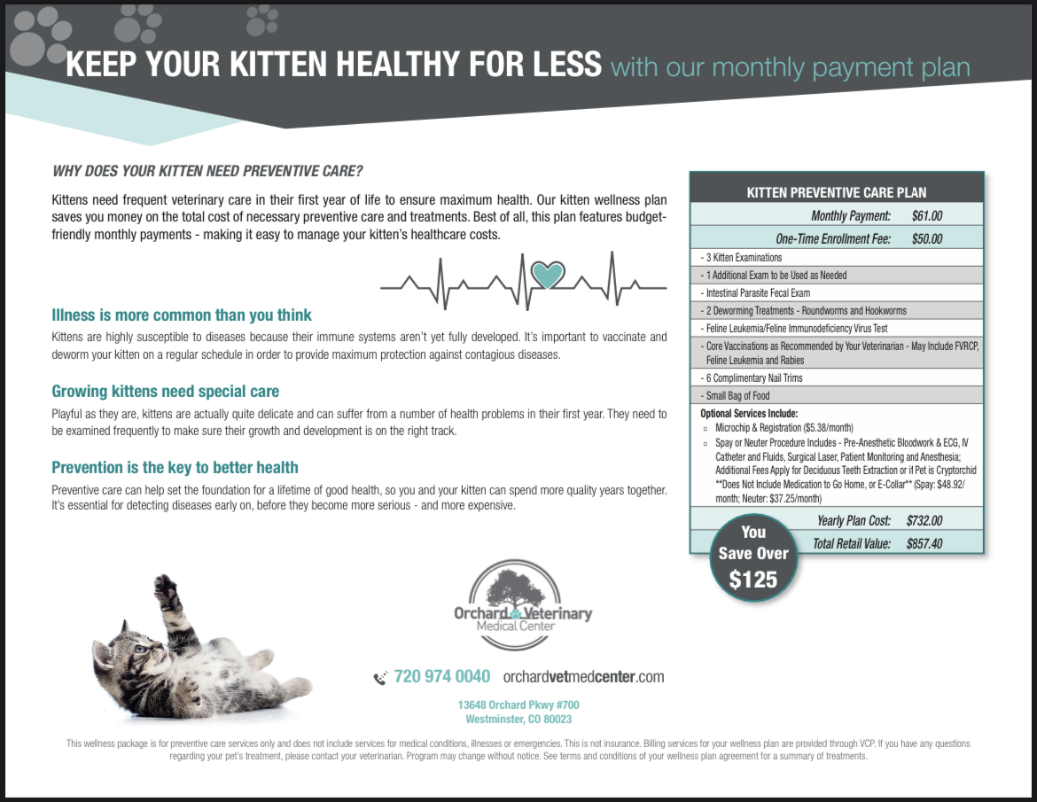 KITTEN PREVENTIVE CARE WELLNESS PLAN