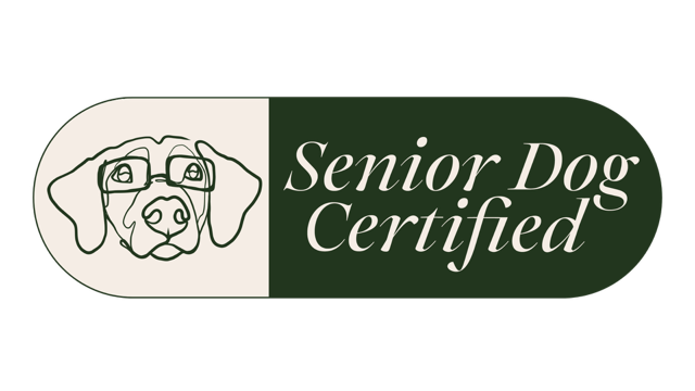 Senior Dog Certified